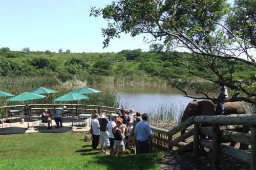 Inkwenkwezi (1)